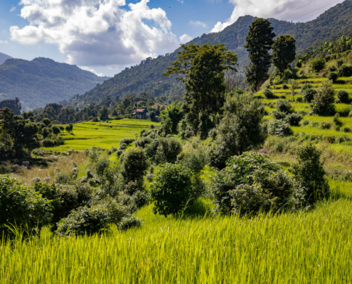 Nepal Kalender 2026 Juli